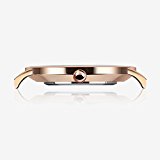 Naivo 18K Rose Gold over Stainless Steel Classic Cambridge Watch Quartz Watch Multicolor Band Daniels Watch