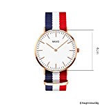 Naivo 18K Rose Gold over Stainless Steel Classic Cambridge Watch Quartz Watch Multicolor Band Daniels Watch